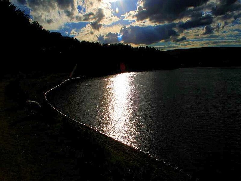Silhouette of Dog by Lake