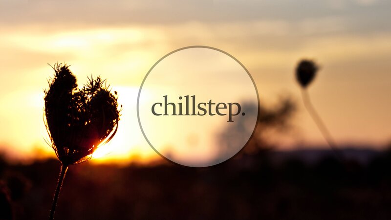 Silhouette of Dried Flower