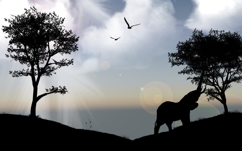 Silhouette of Elephant Eating