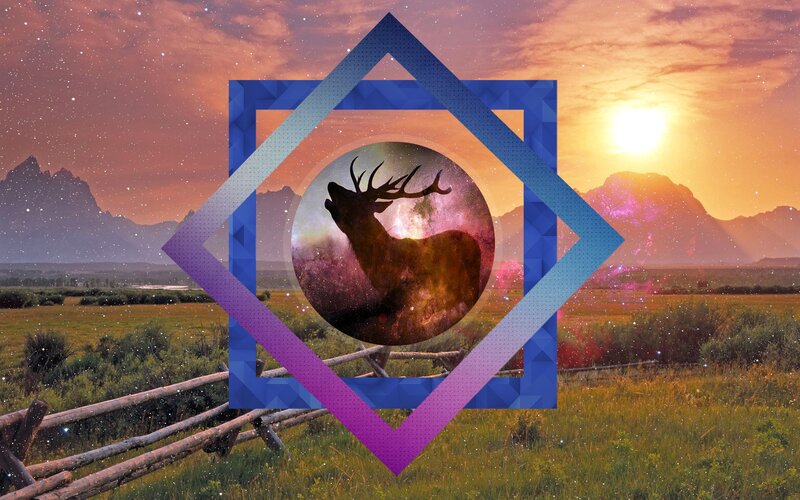 Silhouette of Elk — Purple