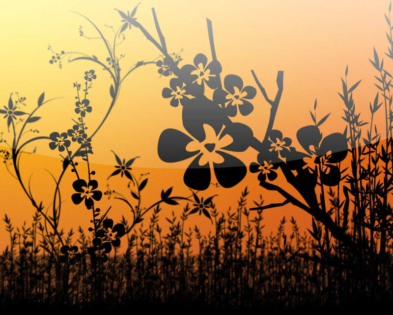 silhouette of flowers at sunset