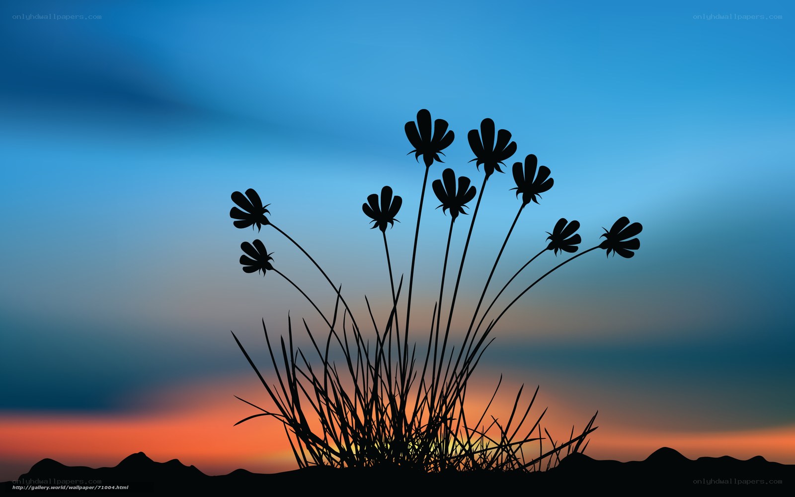 Silhouette of flowers at sunset