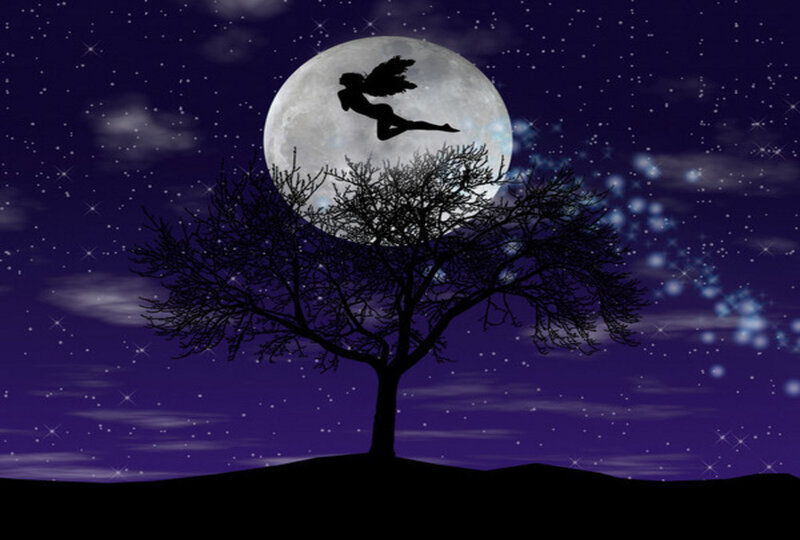 Silhouette of Flying Figure