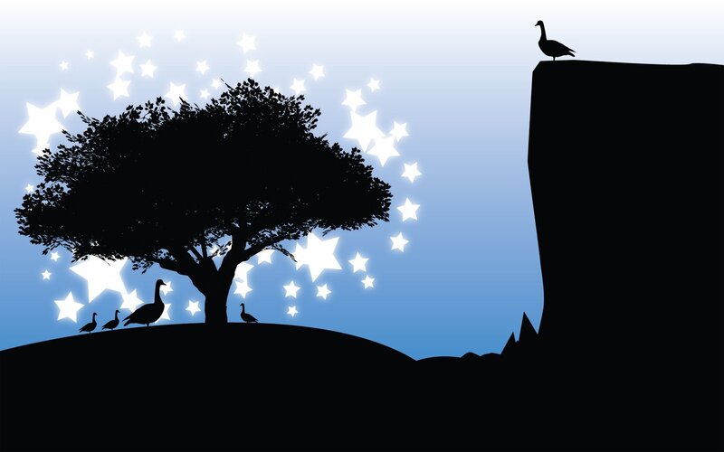 Silhouette of geese under stars