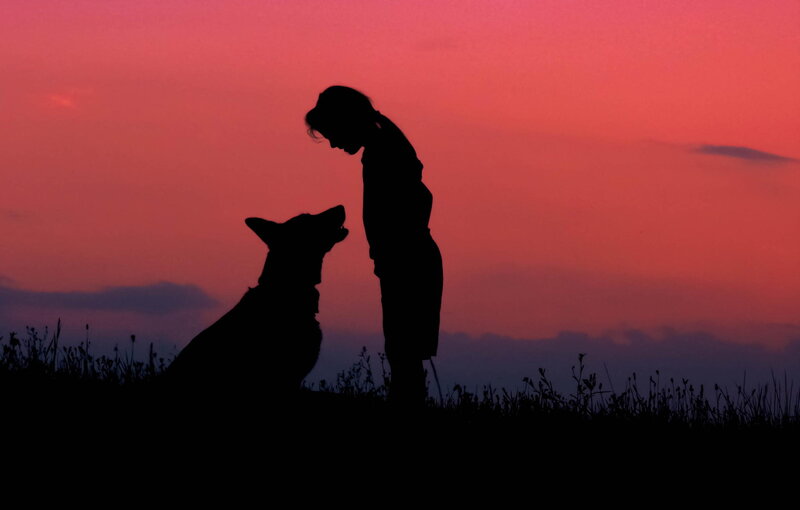Silhouette of Girl and Dog — Pink