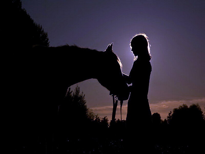 Silhouette of Girl and Horse — Black