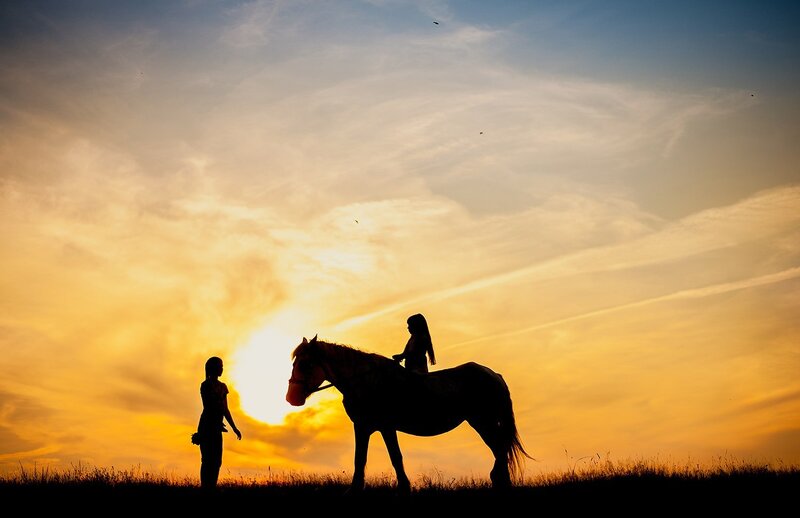 Silhouette of Girl on Horse