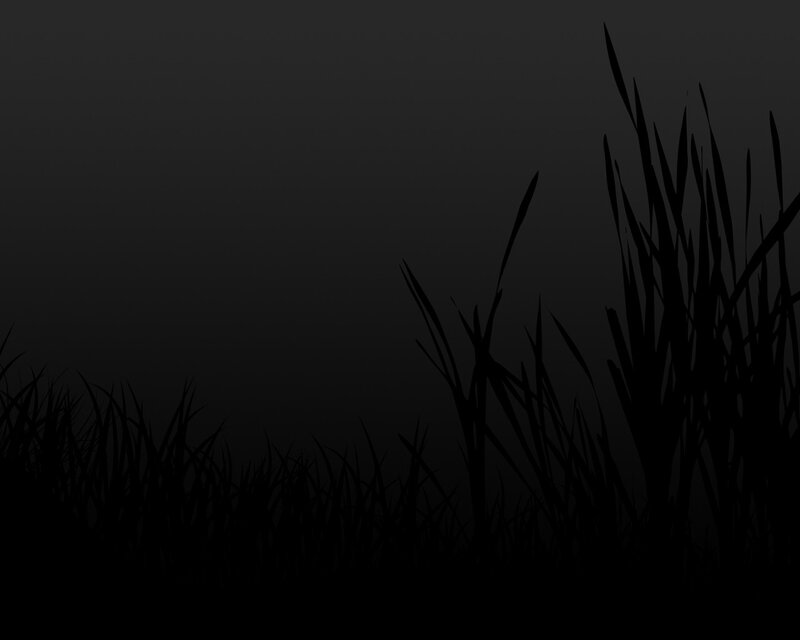 silhouette of grass at night