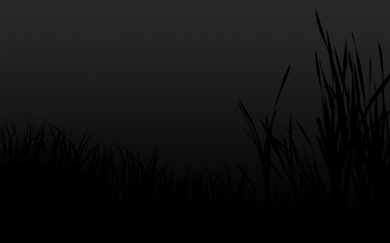 silhouette of grass at night