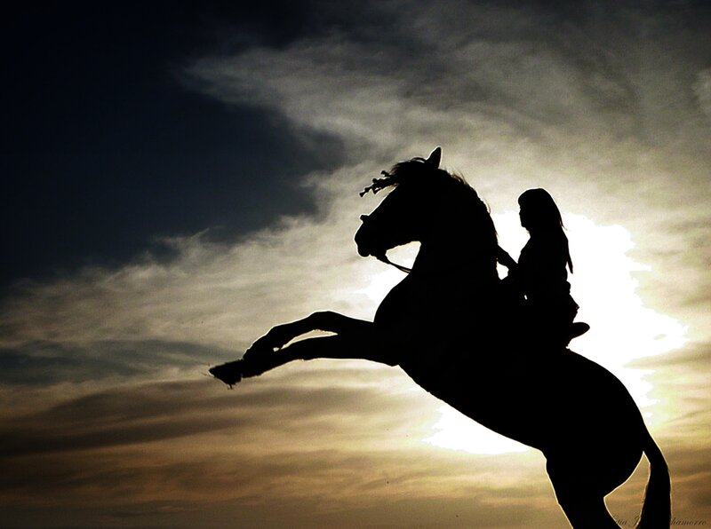 Silhouette of Horse and Rider — Black