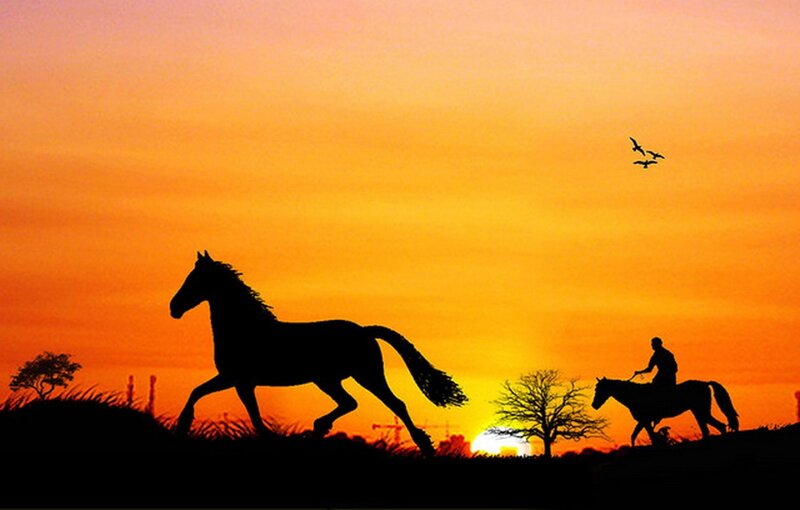Silhouette of Horse and Rider — Orange, Serene