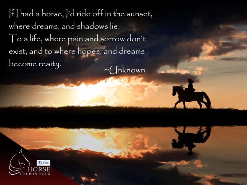 Silhouette of Horse and Rider — Orange