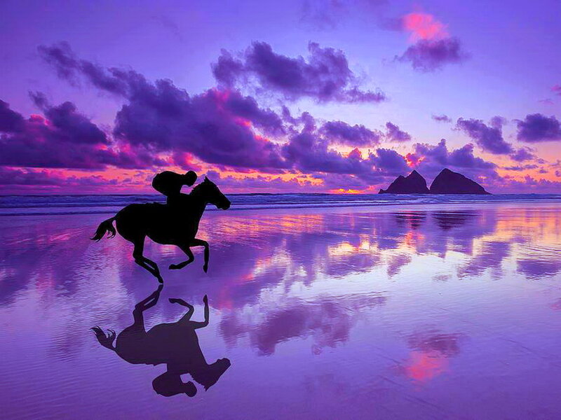 Silhouette of Horse and Rider — Purple