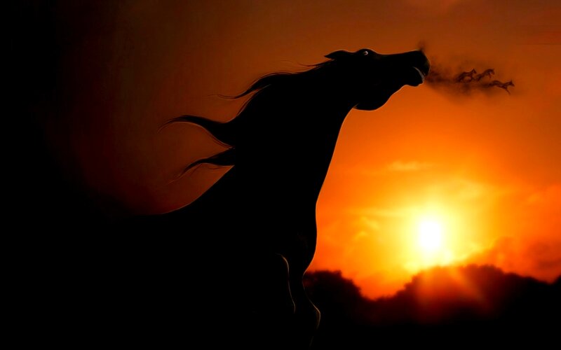 Silhouette of Horse — Orange, Dramatic, Sunset, Digital Art