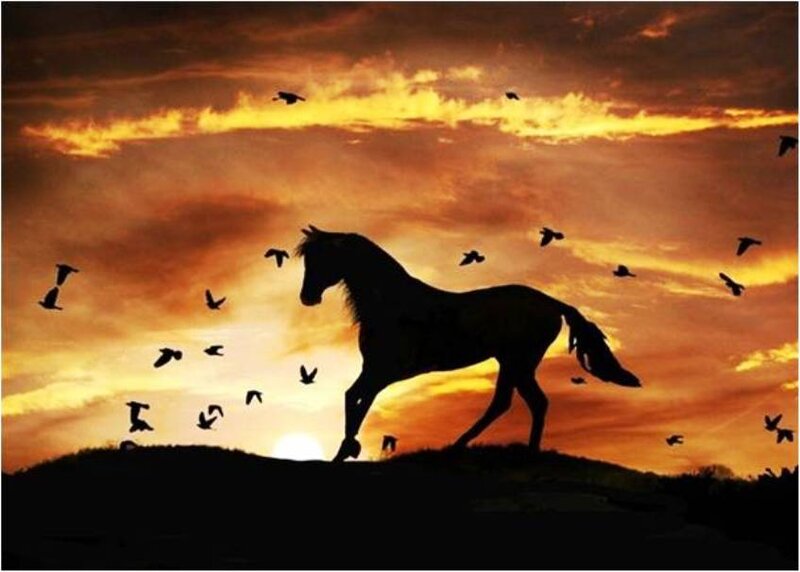 Silhouette of Horse — Orange, Dramatic