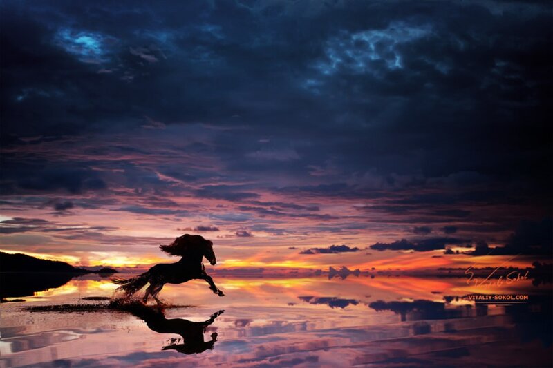 Silhouette of Horse Running — Purple, Dramatic