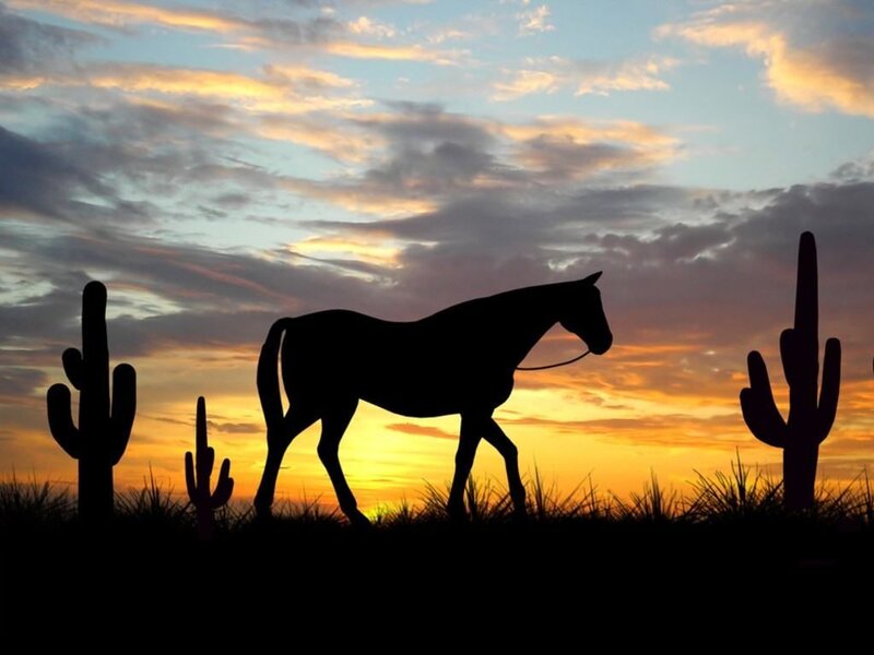 Silhouette of Horse Walking