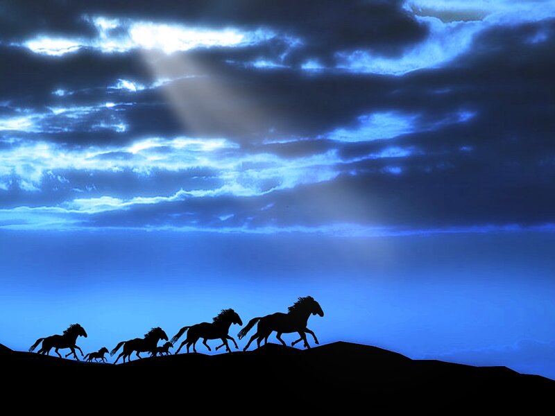 Silhouette of Horses Running