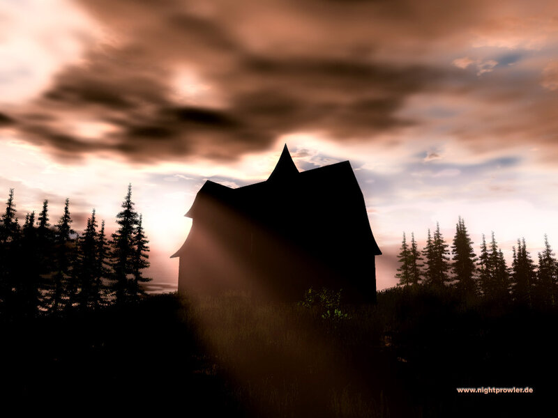 Silhouette of House in Forest