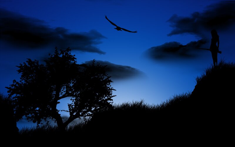 Silhouette of hunter at dusk