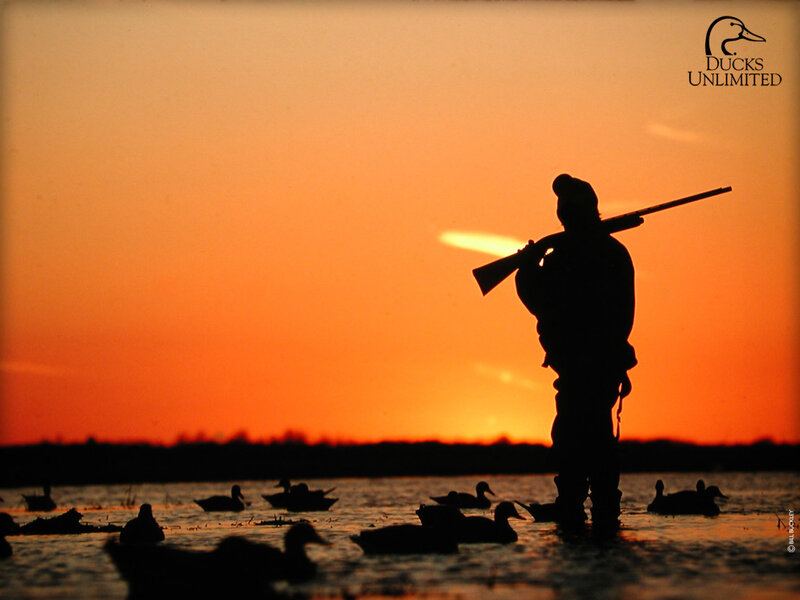 Silhouette of Hunter