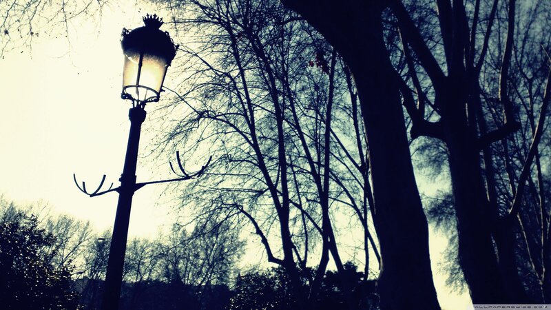 silhouette of lamp post in park
