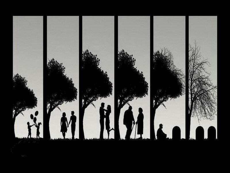 Silhouette of Life Stages — Black