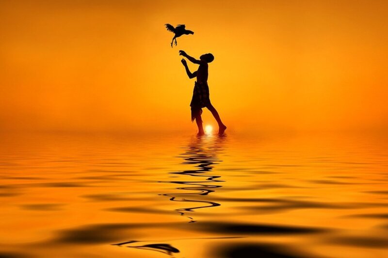 Silhouette of Man and Bird