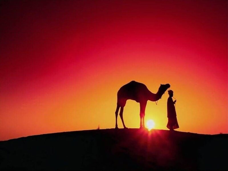 silhouette of man and camel at sunset