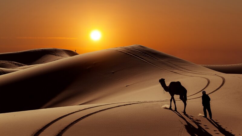 Silhouette of Man and Camel — Orange