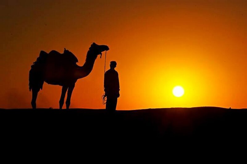 Silhouette of Man and Camel