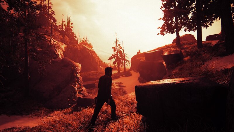 Silhouette of Man in Forest — Red