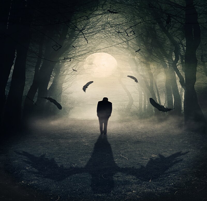 Silhouette of Man in Forest