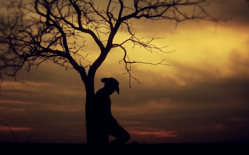 silhouette of man under tree