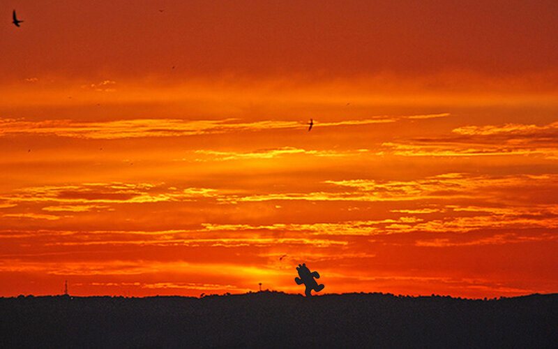 Silhouette of Mario at sunset