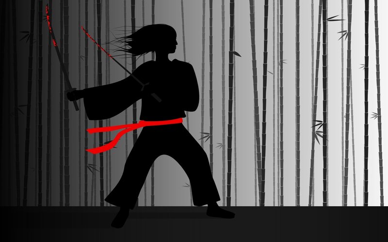 silhouette of martial artist in bamboo forest