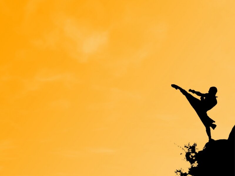 Silhouette of Martial Artist — Orange, Dramatic