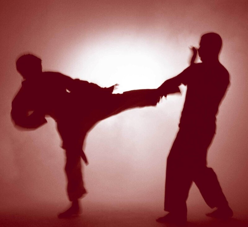 Silhouette of martial arts kick