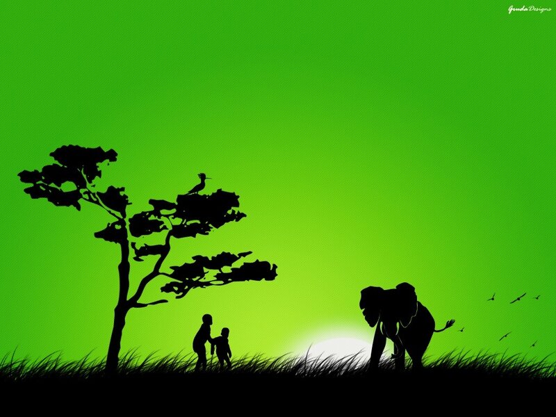 Silhouette of nature scene