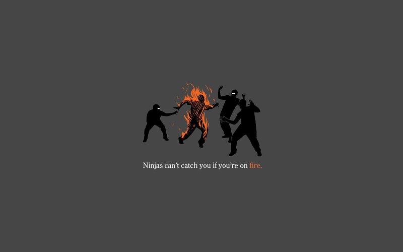 Silhouette of Ninjas