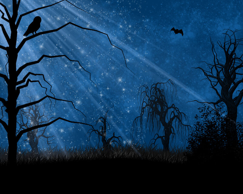 Silhouette of Owl on Tree