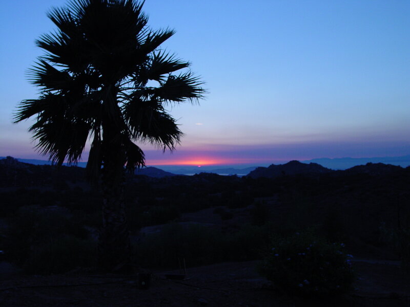 Silhouette of Palm Tree — Blue, Serene, Sunset, Photograph, Mountains