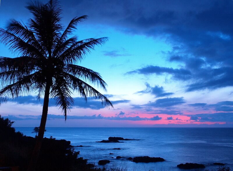 Silhouette of Palm Tree — Blue, Serene, Sunset, Photograph, Ocean, Rocks