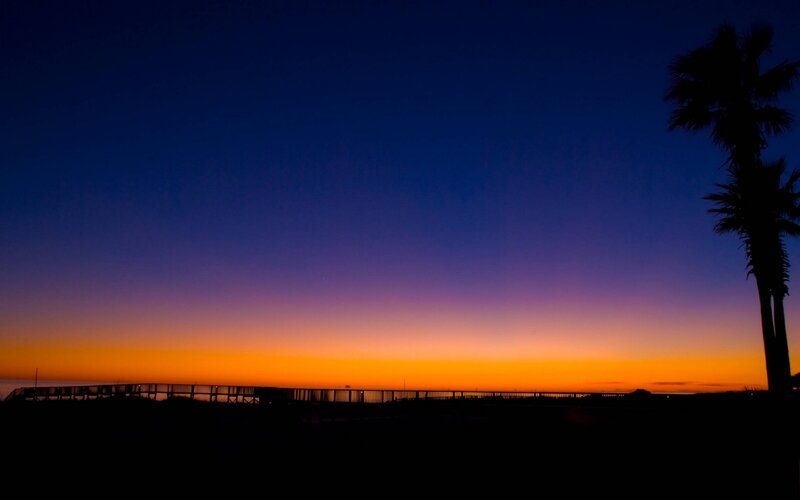 Silhouette of Palm Tree — Blue, Serene, Sunset, Photograph, Palm Tree