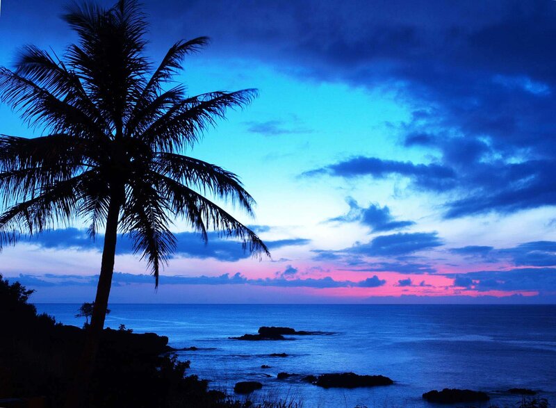 Silhouette of Palm Tree — Blue, Serene, Sunset, Photograph