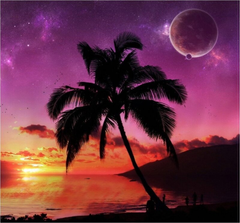 Silhouette of Palm Tree — Purple, Dramatic