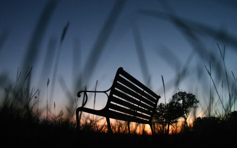 Silhouette of Park Bench