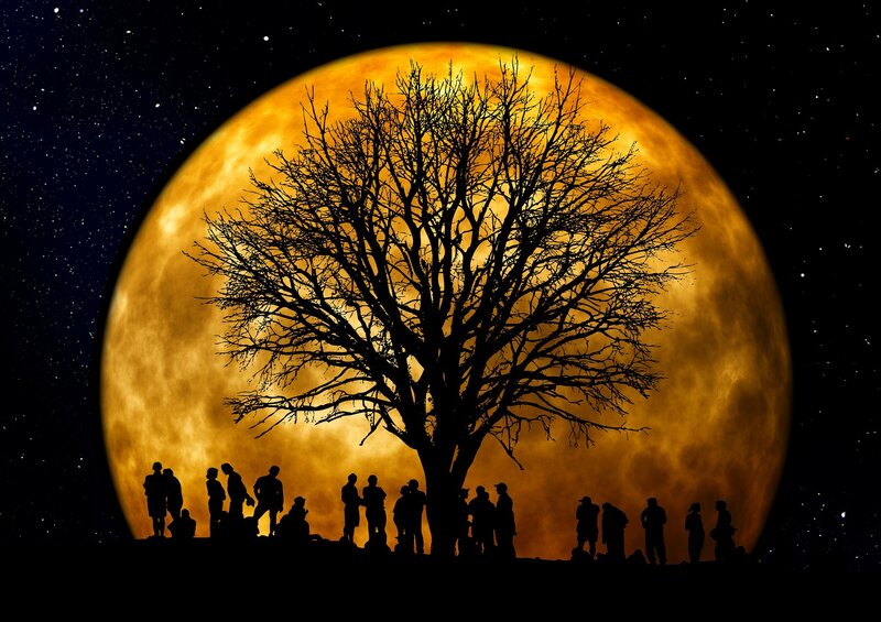 Silhouette of People and Tree — Black