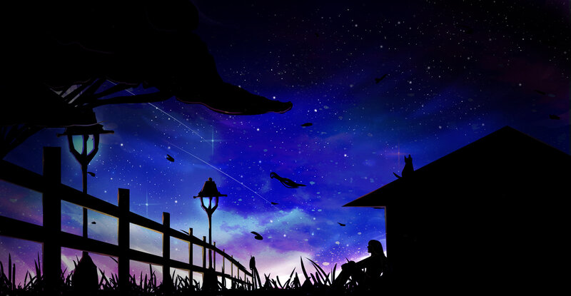Silhouette of Person and Cat — Blue, Serene, Night