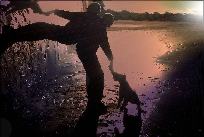 silhouette of person and dog at sunset